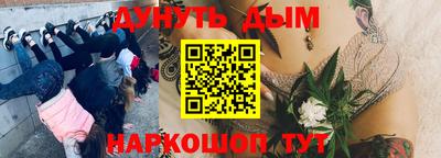 шишки Тулун