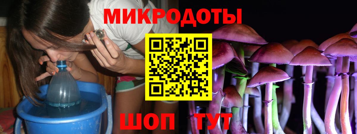 Псилоцибиновые грибы прущие грибы  Вход с VPN  Мыски  Псилоцибиновые грибы Magic Shrooms 